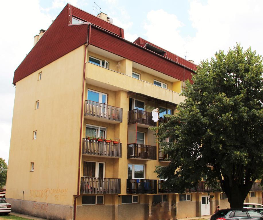 Apartman Drenovac Слуни Экстерьер фото